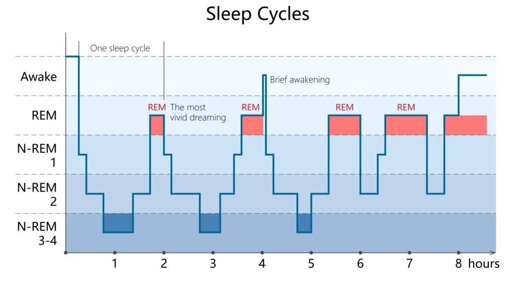 importance of quality sleep chart
